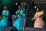 Bassekou Kouyate & Ngoni Ba (Grolsch Blues Festival)