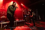 Versus Goliath (Rosenhof Osnabr&uuml;ck)