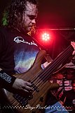 Greydon Fields (Essen)